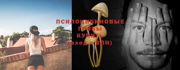 не бодяженный Гусев