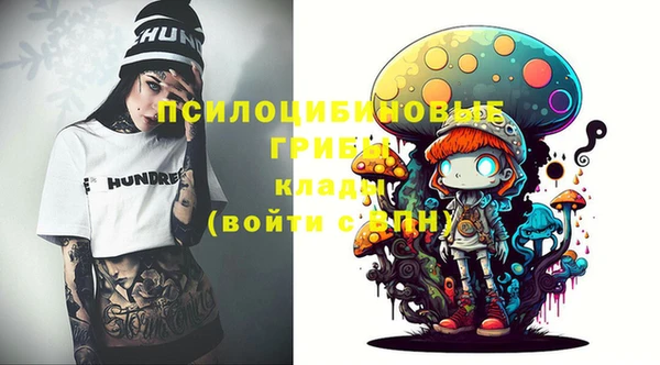 бошки Гусь-Хрустальный