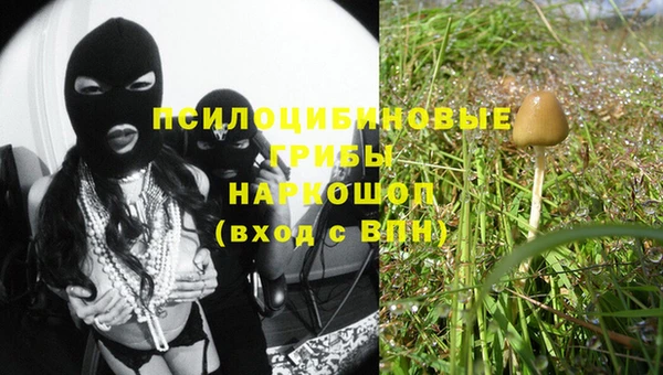 не бодяженный Гусев