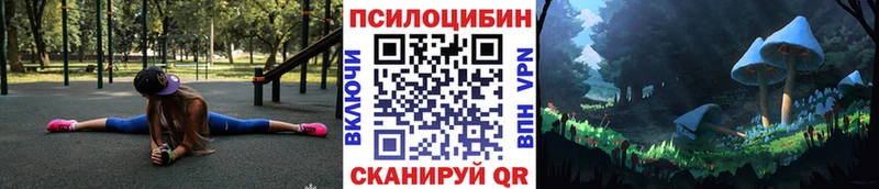Галлюциногенные грибы Psilocybe Очёр